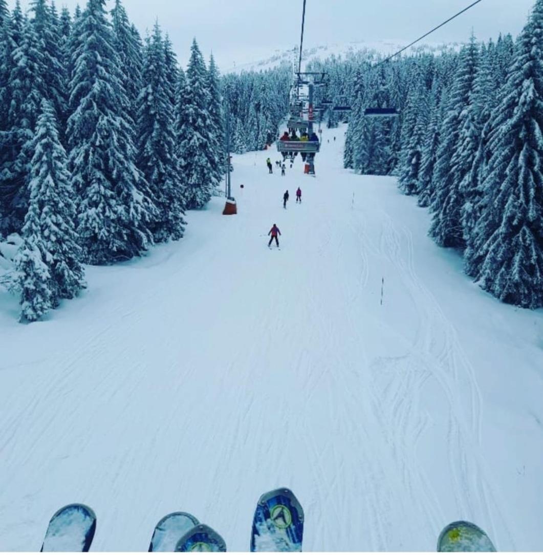 Vistanova Milmari S33 Leilighet Kopaonik Eksteriør bilde